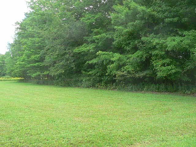 2nd image of 0 Genesee Mills Rd