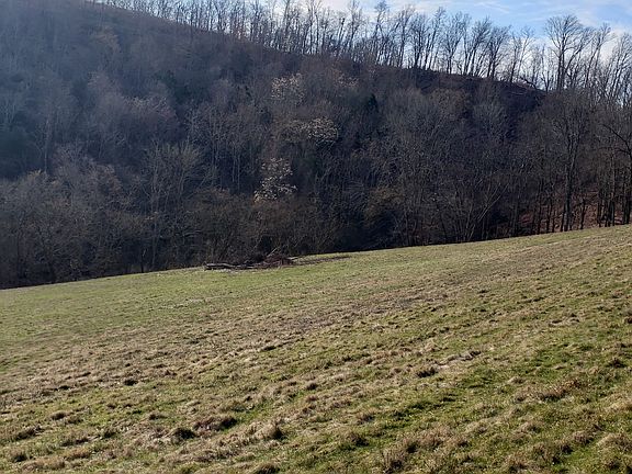 2nd image of 160 Bush Hollow Ln
