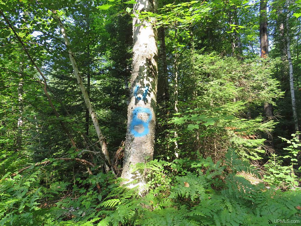 37th image of Off King Lake Rd