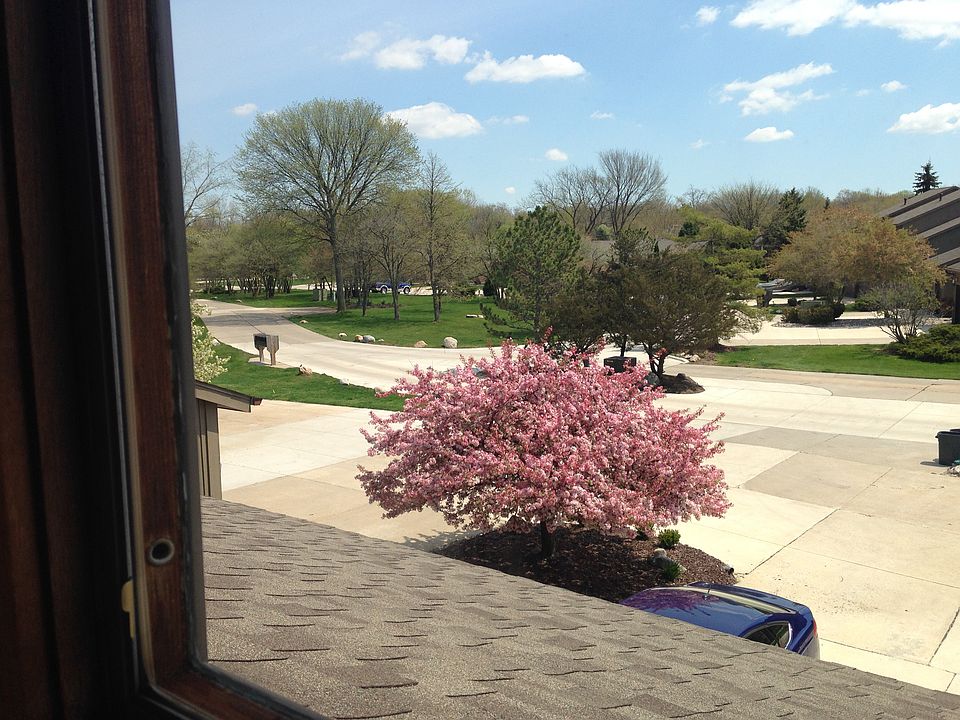 1st image of 9800 Hawthorne Glen Dr