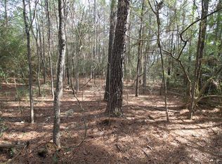 0 Jape Massingill Ln, Diboll, TX 75941