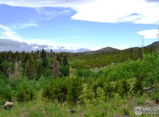 1256 Basking Dog Rd, Bellvue, CO 80512