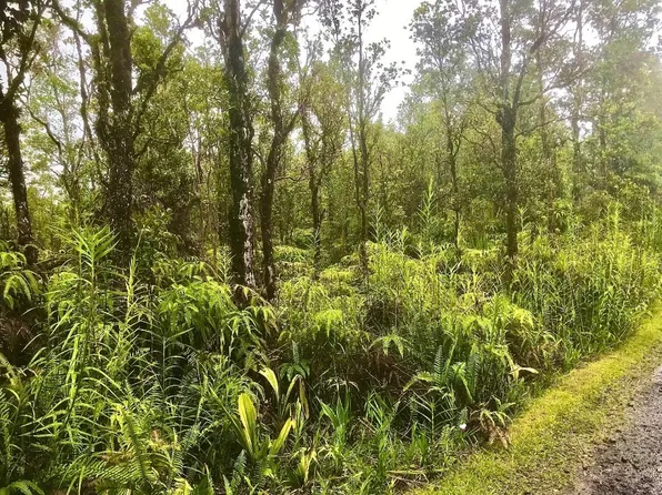 Painui St Lot 16, Mountain View, HI 96771