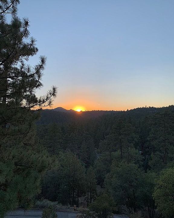 1st image of 1245 Bruin Trl