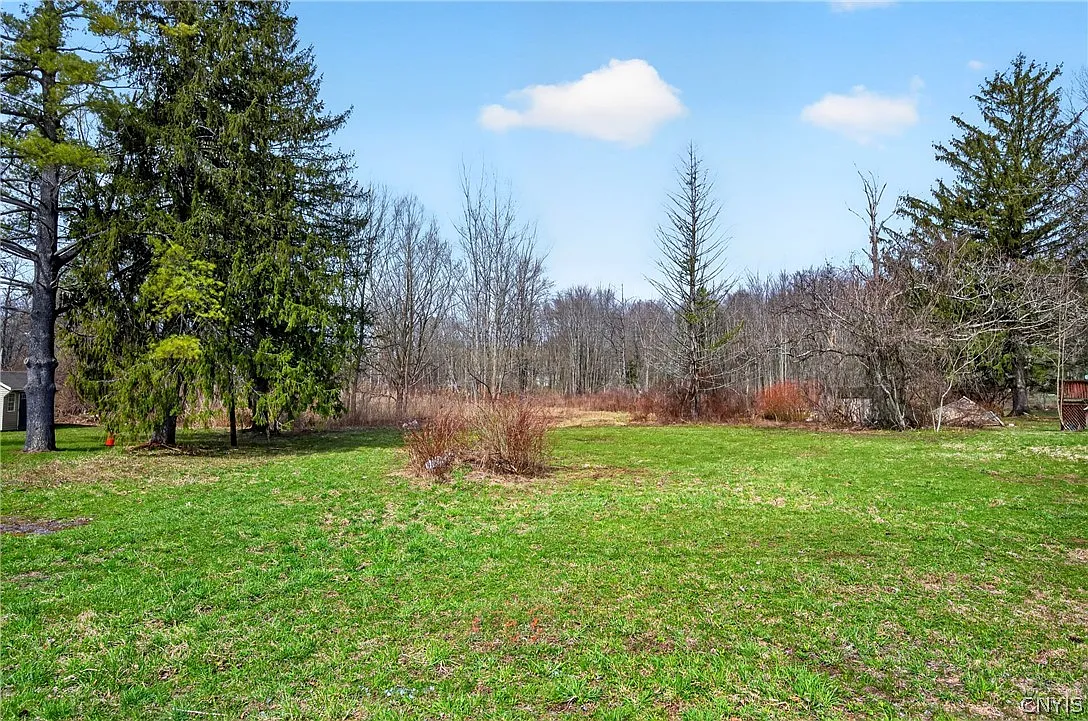 18 Homestead Ave #8 photo 1