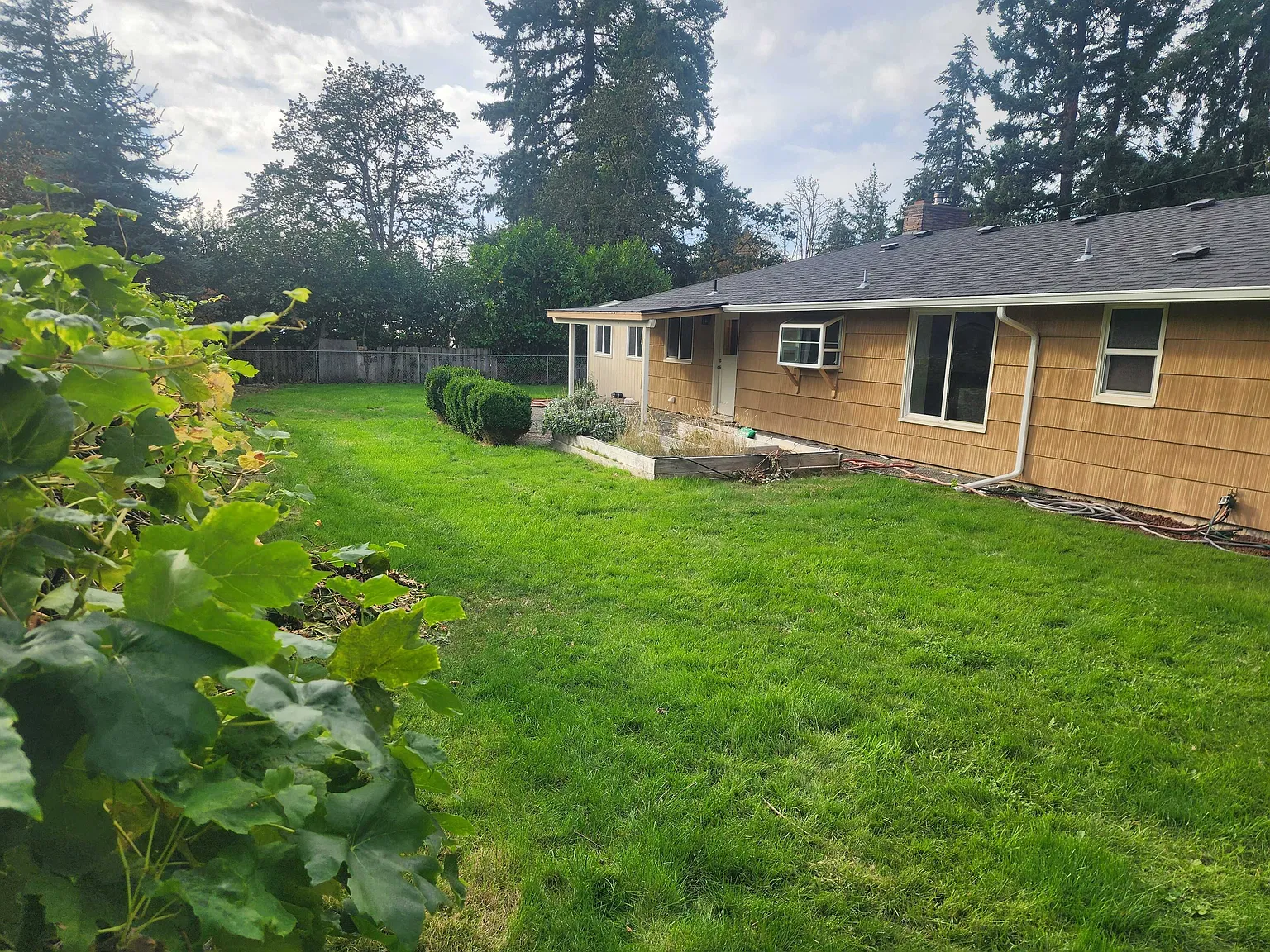 3 bed, 1.5 bath, 1200 sqft, $2,800 — Photo 2