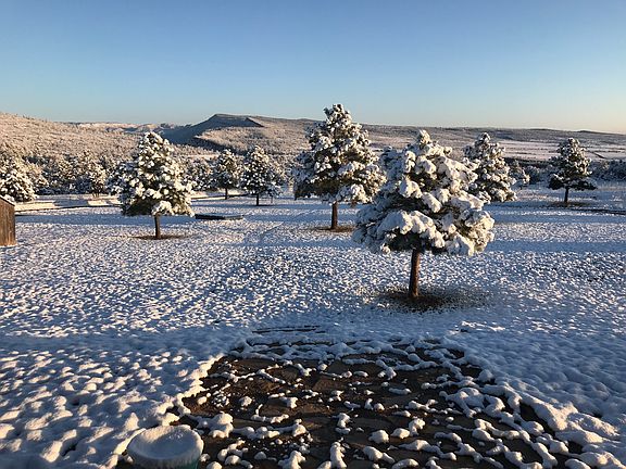 Front winter view