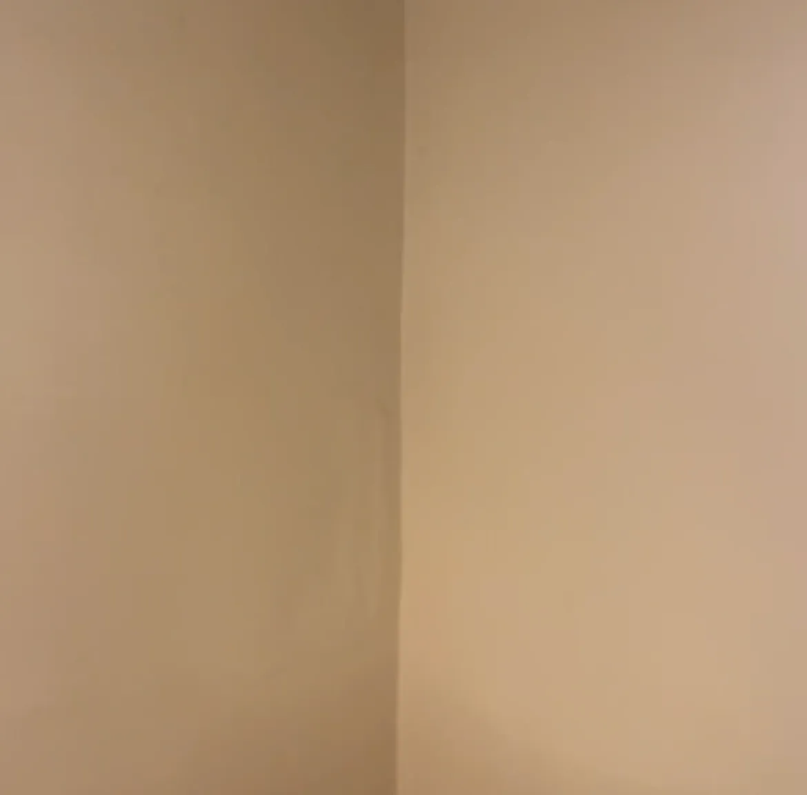 1 bed, $850 — Photo 2