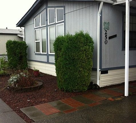 3rd image of 1111 Archwood Dr SW Unit 250