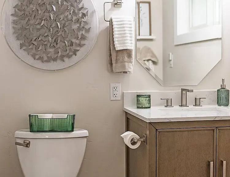 Primary suite bathroom