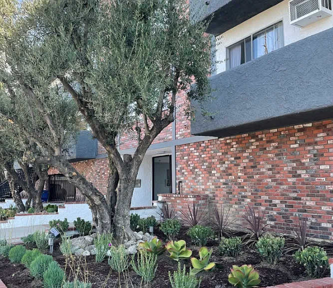 Whitsett Apartments — Photo 3