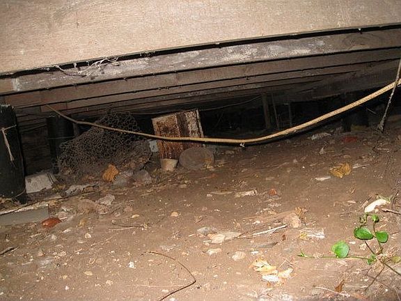 4th image of 5728 Humbert Ave