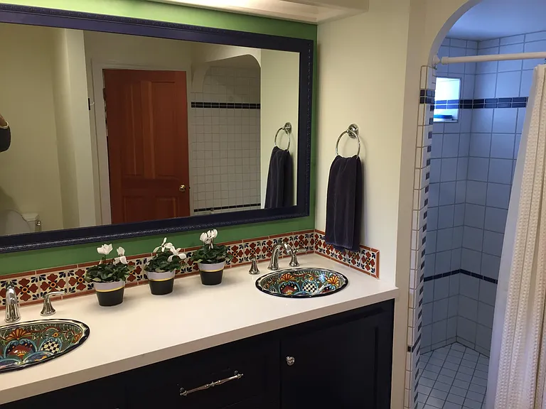 Downstairs Bath (bathtub unseen is to right of shower)