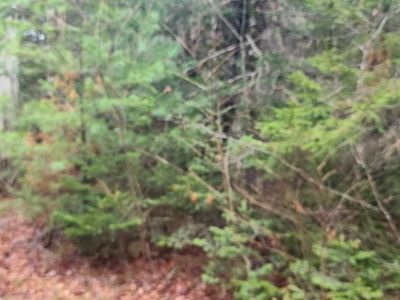 1330 Beech Street, Wesley, ME, 04686