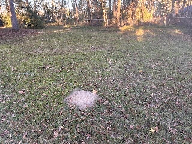 1st image of 3970 Proctor St