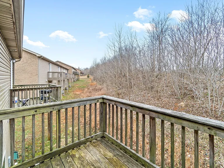 1719 Thistlewood Dr — Photo 14