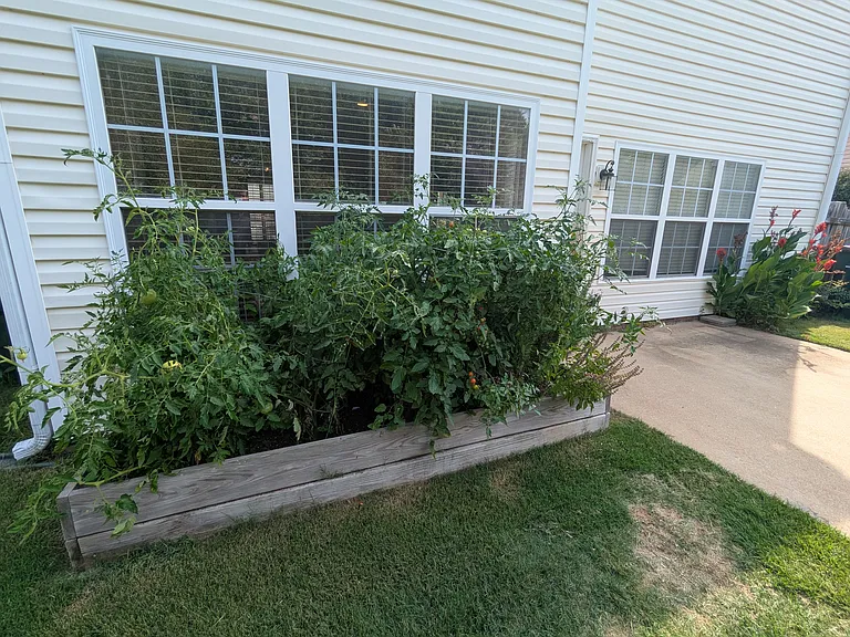 5 Criterion Dr — Photo 30