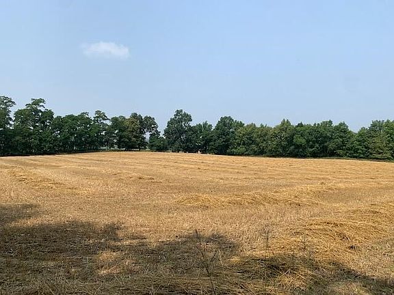 4th image of 23177 29 1/2 Mile Rd