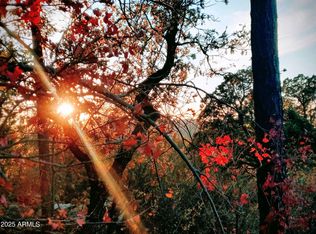 92 W Ralls Dr #92, Pine, AZ 85544