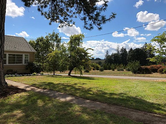 View to the west Yard is wild grass due to the 150 year old pine tree.