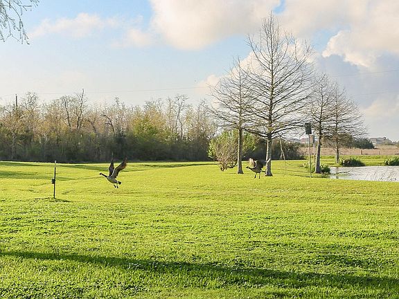 5th image of 150 Junius Granger Rd