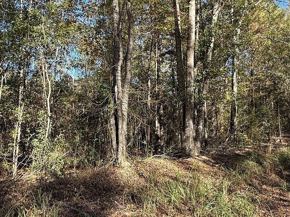 2nd image of Knobtown Rd