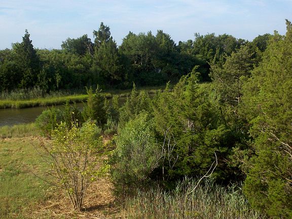 Wooded View