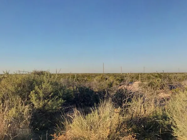 County Road 2545, Coyanosa, TX 79730