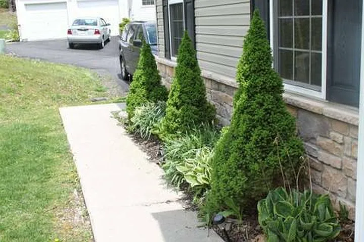 808 Brushy Mountain Rd — Photo 2