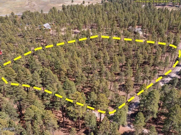 County Road 2325, Alpine, AZ 85920