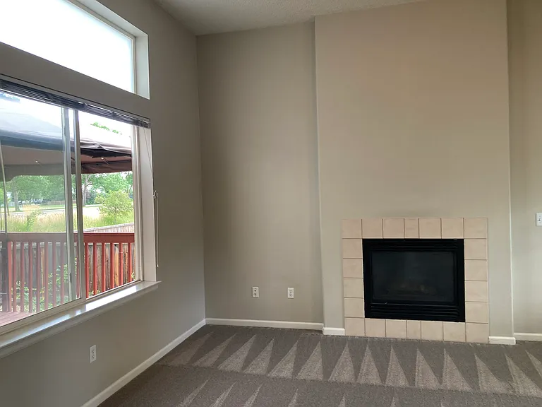 Living room with fireplace