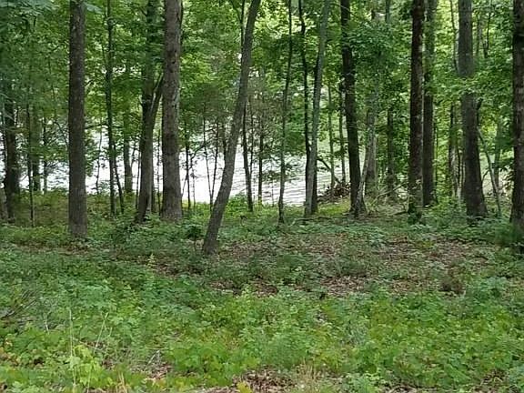 5th image of 197 E Shore Dr Lot 47