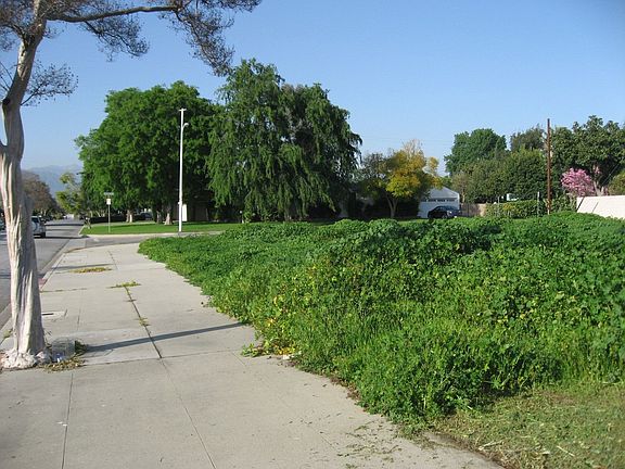 3rd image of 122 N Lang Ave