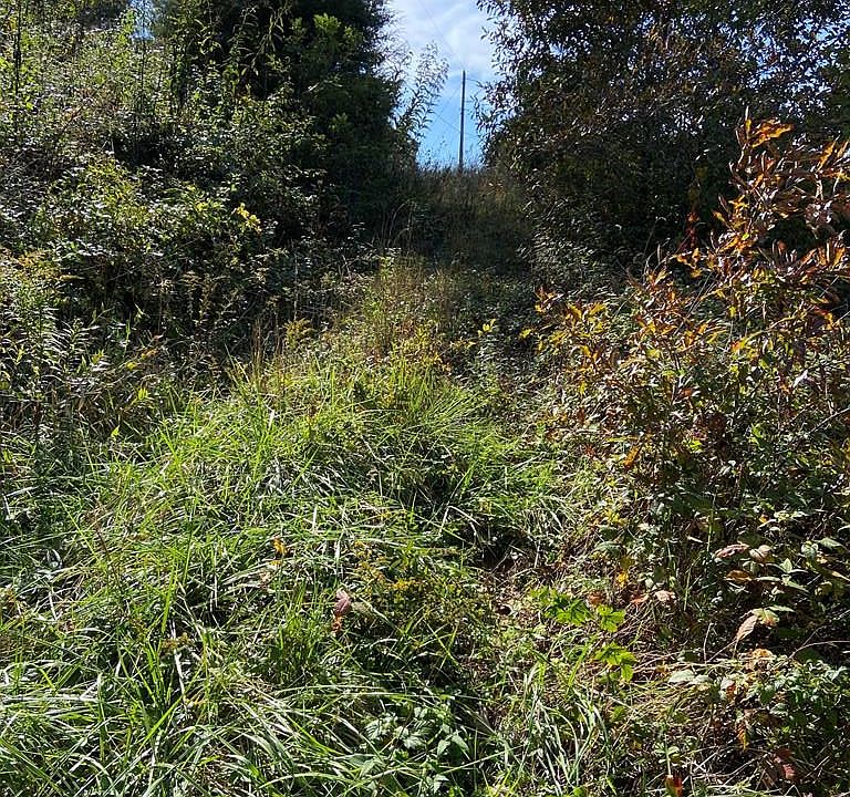2nd image of Lot D Hwy 107 N
