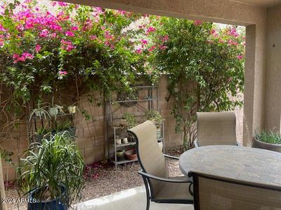 44308 W Desert Plant Trl, Maricopa, AZ, 85139