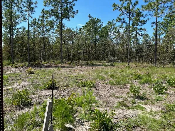 TBD NE 13TH LANE LOT 1, WILLISTON, FL 32696