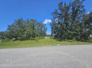 9925 Reindeer Ct, Spring Hill, FL 34608