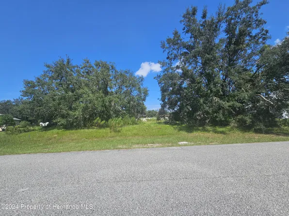 9925 Reindeer Ct, Spring Hill, FL 34608