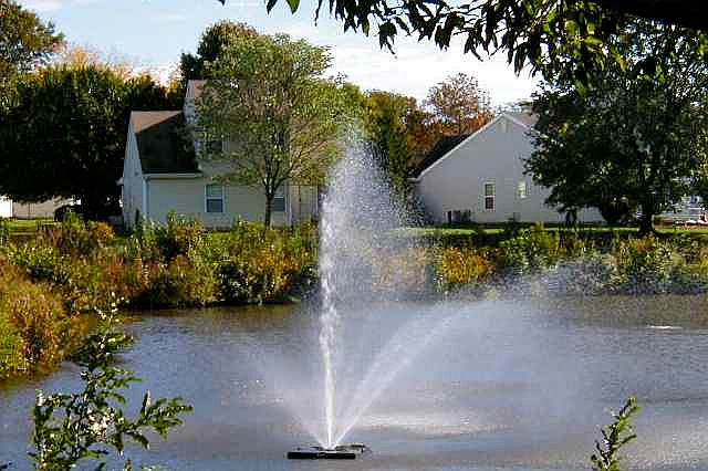Water feature