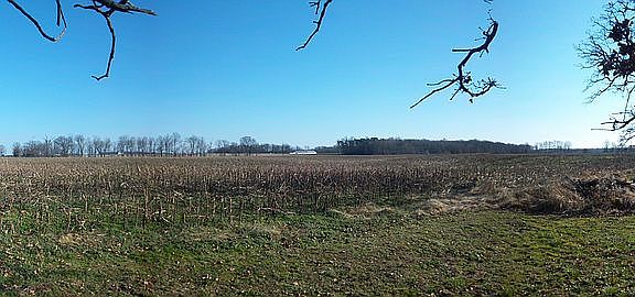 Eastern views from property