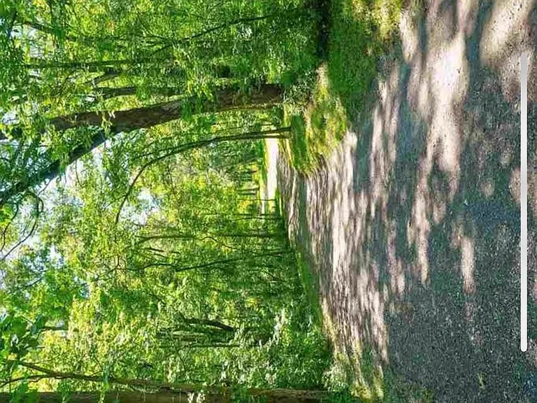 2172 Scales Bend Rd NE — Photo 19