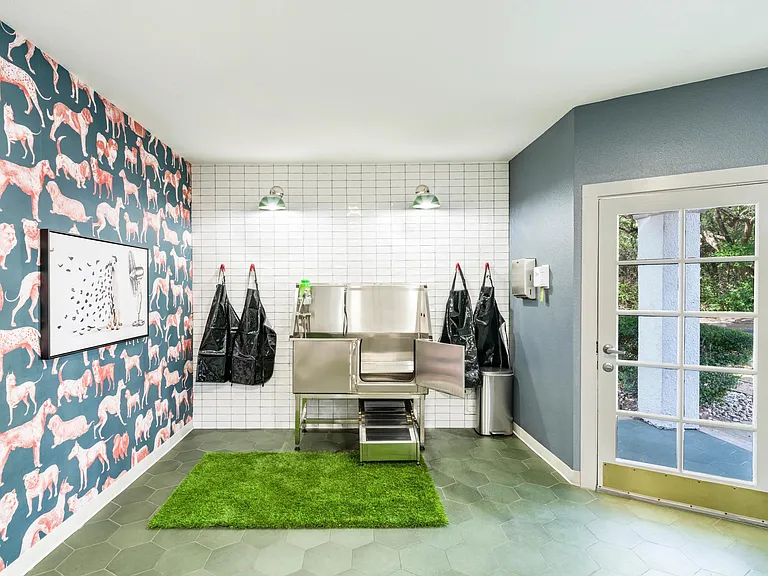 Keep your pup fresh and clean with the convenience of our on-site pet spa, designed with both style and function in mind.