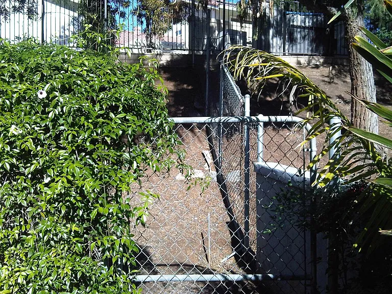 Dog Run