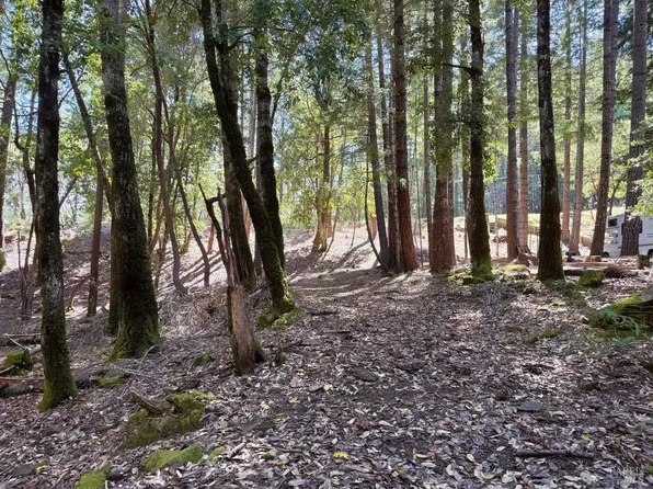 26931 Bear Drive, Willits, CA 95490
