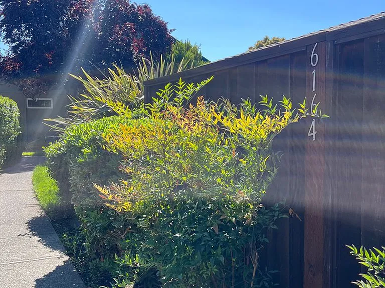 6164 Country Club Dr — Photo 14