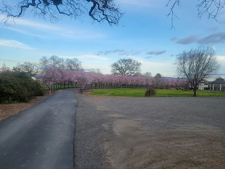 Irwin Ln — Photo 2