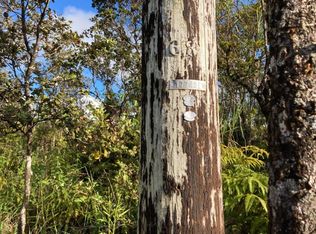 11-2545 Kaleponi Rd LOT 12, Volcano, HI 96785