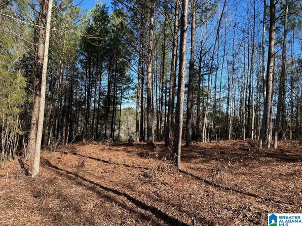 N Hagler Rd #3, Northport, AL 35475