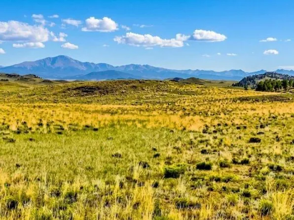 123 Shawnee Trail, Hartsel, CO 80449