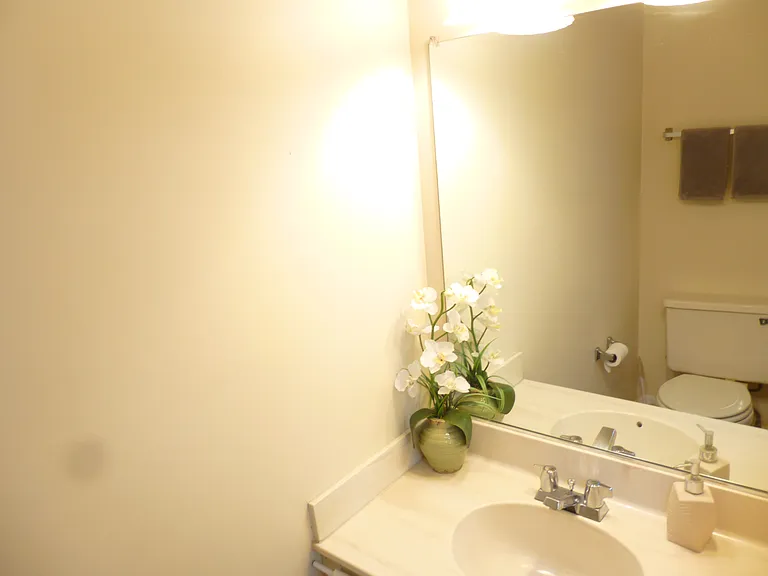 8867 Willowwood Way — Photo 10